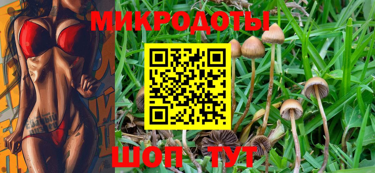 Псилоцибиновые грибы ЛСД  Вход с VPN  Качканар 