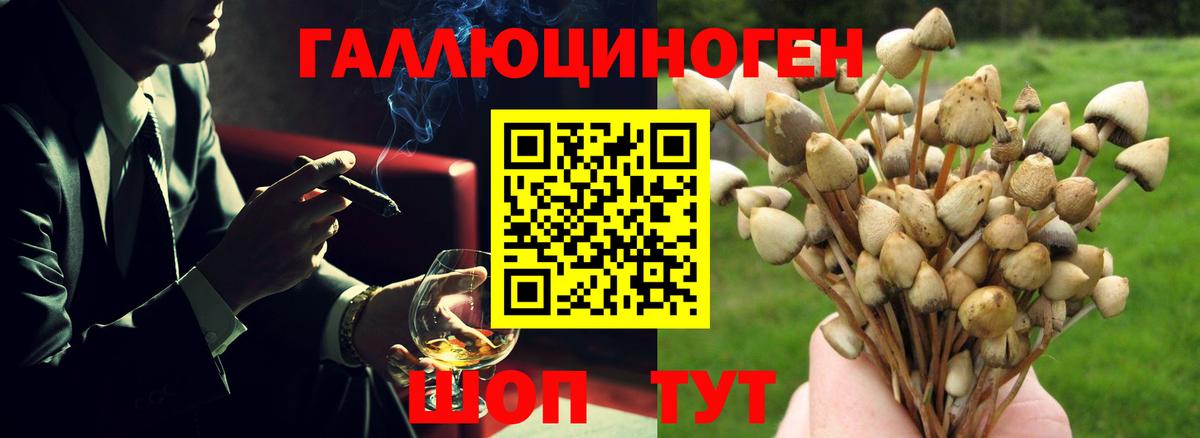 Псилоцибиновые грибы прущие грибы Качканар