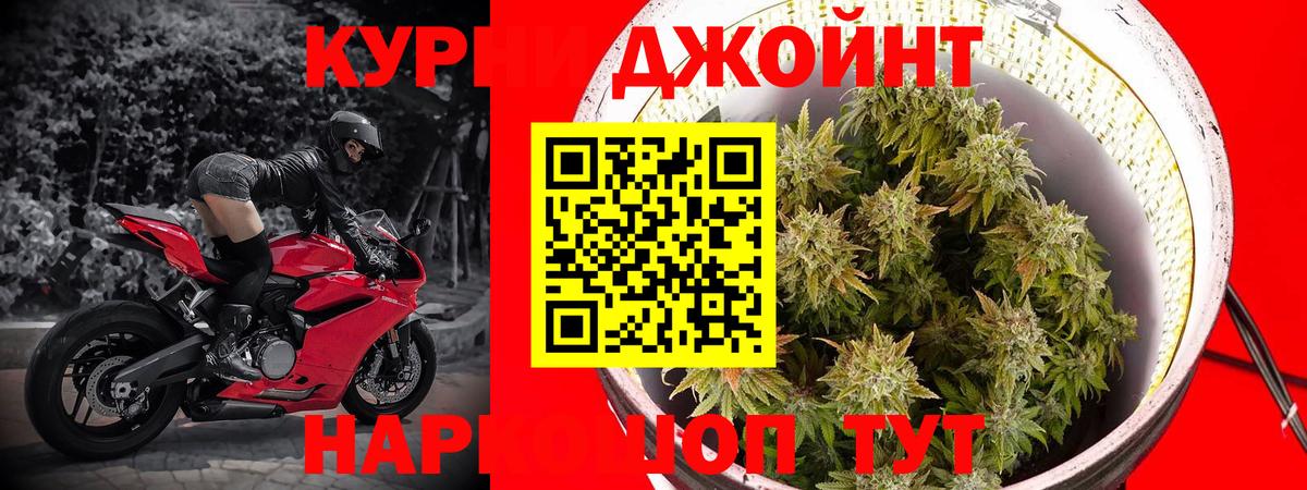 Качканар  Каннабис тримм  Марихуана White Widow  Шишки марихуана White Widow  Вход с VPN 